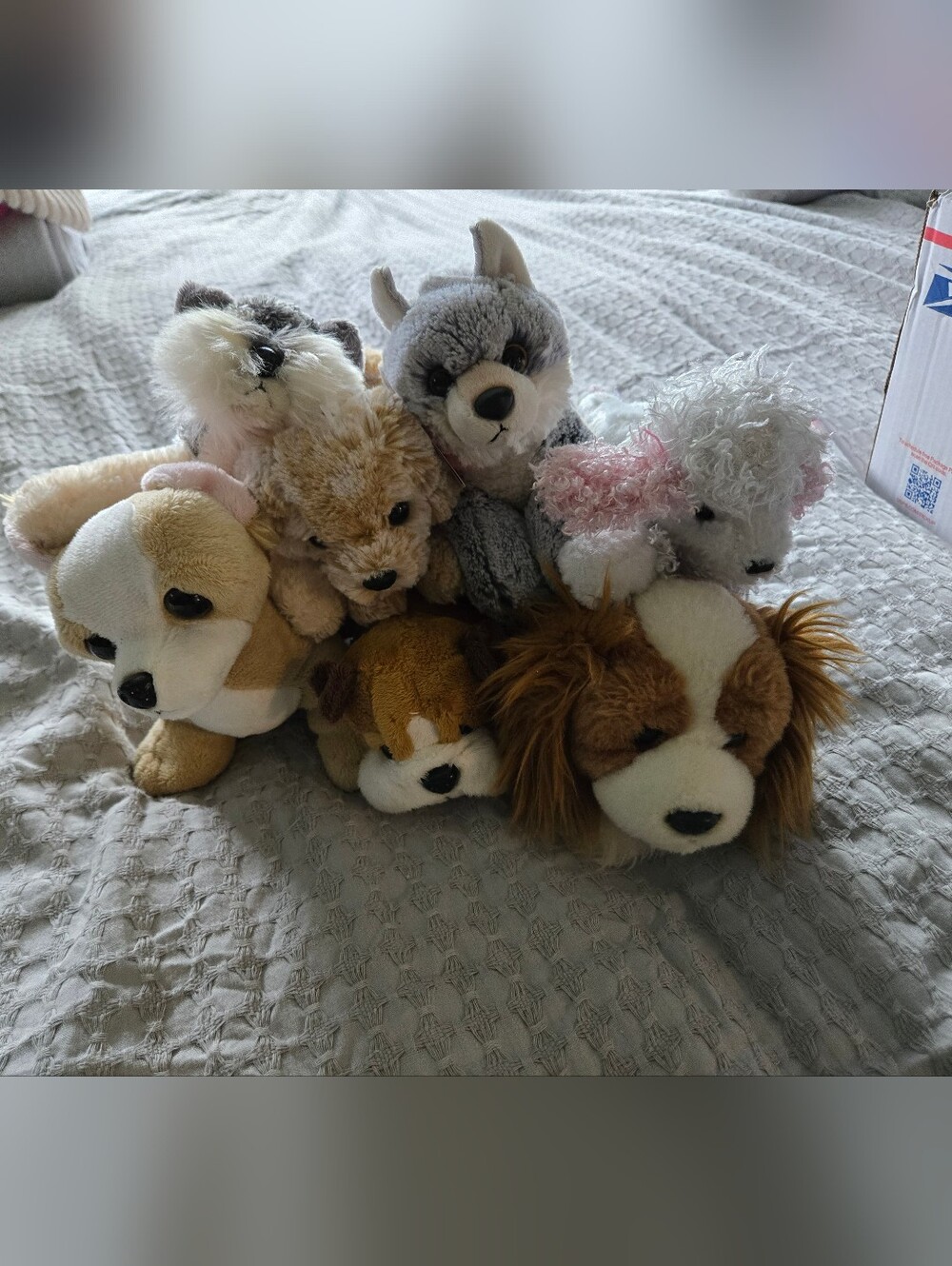 7 Lot! 🐶Aurora & Other Plush Puppy & Dog Stuffed Animal Lot - Picture 8 of 8